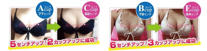 �n���[�A�b�v�̌^�ʂŃR�[�X�ʂ̎���ŏo����o�X�g�A�b�v�@���T�C�g